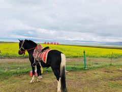 -青海湖国家重点风景名胜区