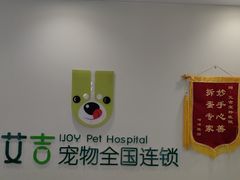 -艾吉宠物医院·疑难杂症转诊中心·猫友好(碧江路院)