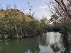 -同里国家湿地公园