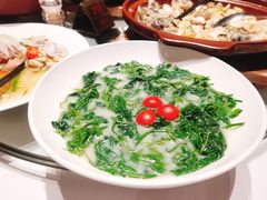 浓汤浸桑叶-广东道至正餐厅(区庄店)