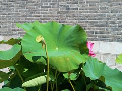 -青州古城