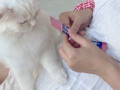 -怪兽屋·羊驼·猫咖·狗咖(俊华广场店)