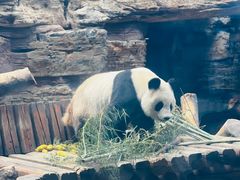 -石家庄市动物园