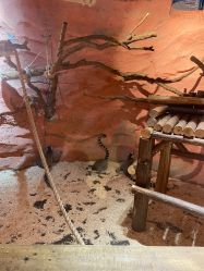 -Zoolung Zoolung动物主题公园(海信广场店)