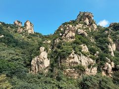 -大岭沟猕猴桃谷风景区