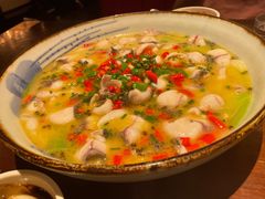 藤椒水煮鱼-成都娃娃花园餐厅 (南艺旗舰店)
