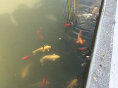 -武清南湖绿博园