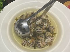 花螺-东海怡品海鲜豆捞(星街坊店)