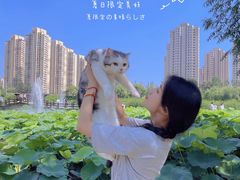 -前关湿地公园