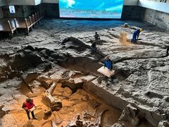 -自贡恐龙博物馆