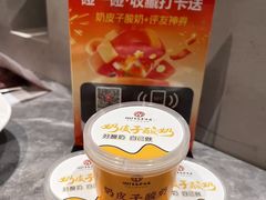 -1937青岛老味道·海肠捞饭·青岛菜(大鲍岛栈桥店)