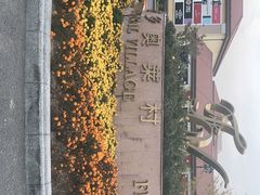 -斯普瑞斯奥特莱斯