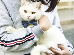 -彳亍咖啡·这里(水湾路店)