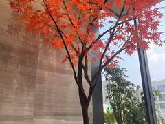 -唐宫足道·SPA·影院会馆(木渎店)