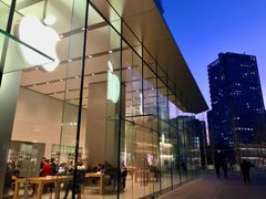 -Apple零售店(华贸购物中心店)