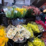 全球旗舰店[得意]北京首家优衣库花店🌹[礼花]绿啦❗️