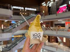 -野人先生现做冰淇淋(北京环宇荟店)