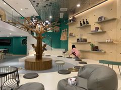 大堂-飞行喵MR PILOT|猫舍·猫咖(静安大融城店)