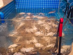 螃蟹（飞蟹）-乔哥铭洋海鲜自助(皇城恒隆广场店)