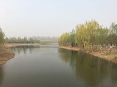 -东郊湿地公园