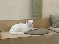 -南枝小馆(银鱼巷店)