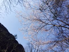 -宁波五龙潭景区