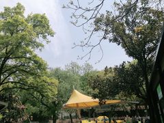 -WeLope紫金山探险公园