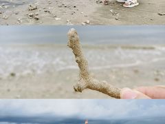 -东郊椰林