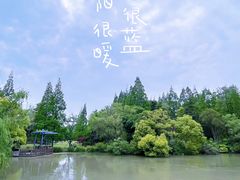 -上海滨江森林公园