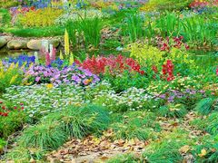 -上海共青森林公园