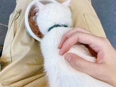 -萌兽医馆·眼科·异宠专科(三里屯店)