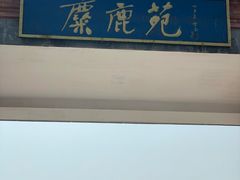 -北京麋鹿生态实验中心