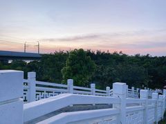 -宝安西湾红树林湿地公园