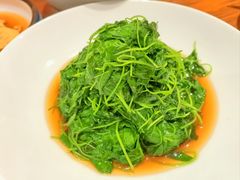 -沪上馨和小馆•海派上海菜(陆家浜路店)