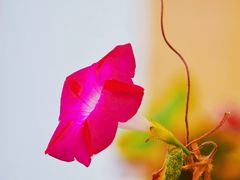 -铁路江上俱乐部