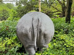 -深圳野生动物园