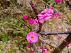 -青龙山国家森林公园