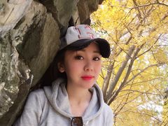 -千年银杏谷文化旅游区
