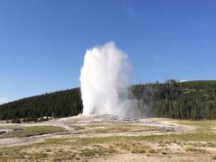 -老忠实间歇泉