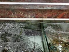 -拉威海鲜市场