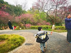 -重庆彩云湖湿地公园