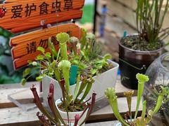-武汉荟聚