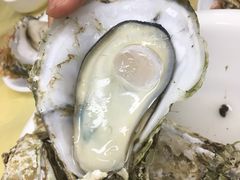 桑拿蠔-天宝食坊·啫啫煲大排档(西华路店)