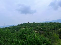 -白水寺森林公园