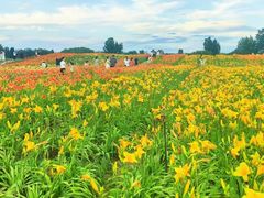 -汉长安城未央宫国家考古遗址公园