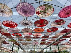 -广东花都香草世界旅游度假区