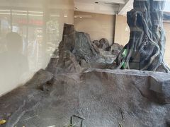 -宁波野生动物园
