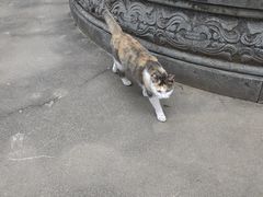 -高旻寺