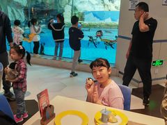 -帝企鹅自助餐厅•儿童岛•真企鹅(长隆企鹅酒店)