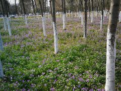 -白塘生态植物园